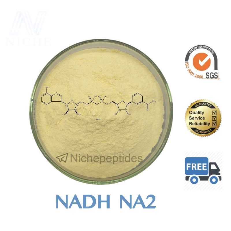 Reduced Coenzyme I Beta-Nadh Disodium Salt Capsules&#160; for Jet Lag USA Free Shipping Nadh